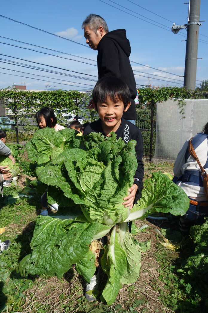 「こっそり畑」親子体験イベントを開催しましたのメイン画像